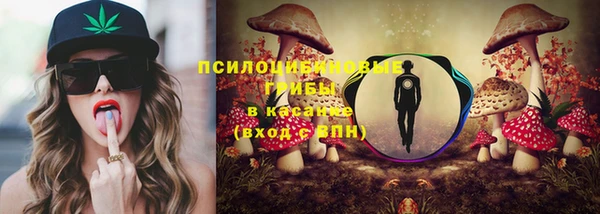 герыч Козельск