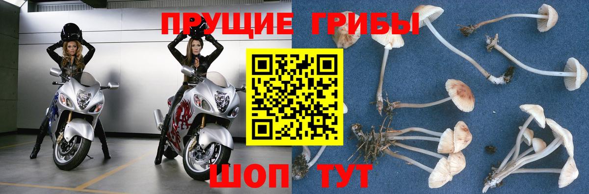 Псилоцибиновые грибы мухоморы  Вход с VPN  Михайловка 